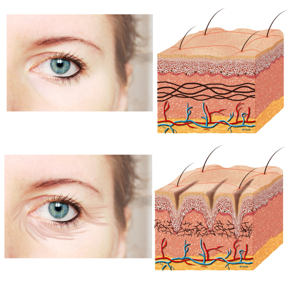 NAD+, Collagen & Your Skin: How NR Can Help Restore Youthful Structure